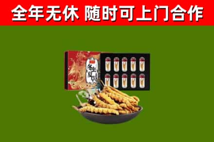 淄博市回收冬虫夏草价格